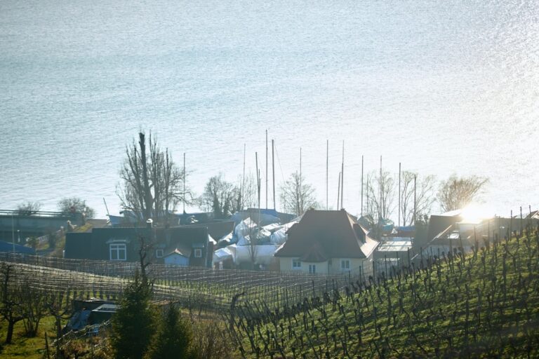Wie ist die aktuelle Wasserqualität im Bodensee?