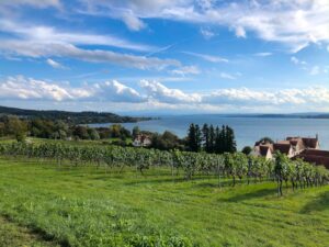 Bodensee Fläche: Größe, Daten & Fakten im Überblick