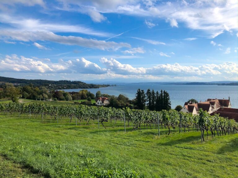 Bodensee Fläche: Größe, Daten & Fakten im Überblick