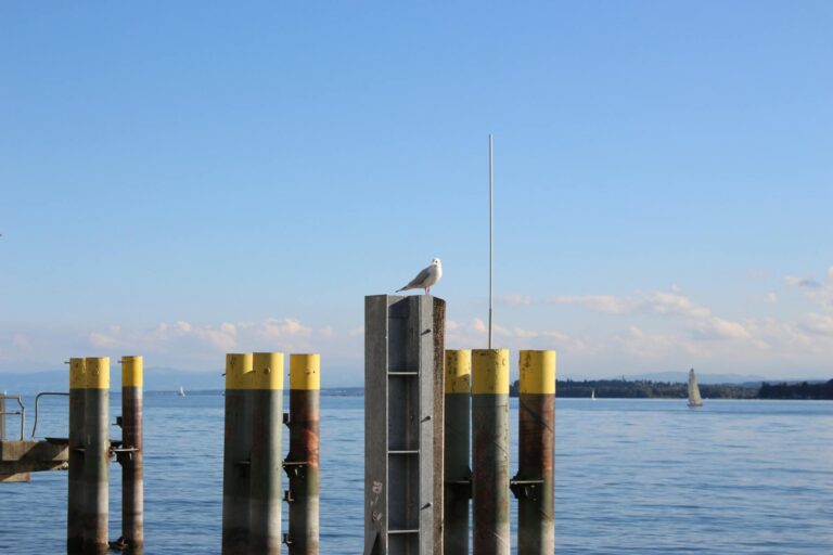 Pfahlbauten Bodensee wie ein Einheimischer erleben