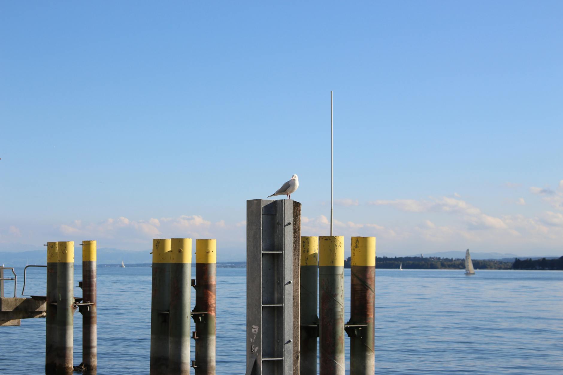 Pfahlbauten Bodensee wie ein Einheimischer erleben