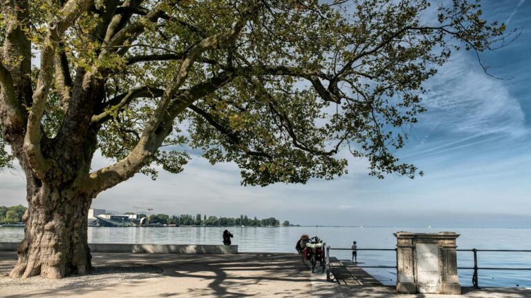 Bregenz: 7 sehenswerte Highlights, die Sie nicht verpassen