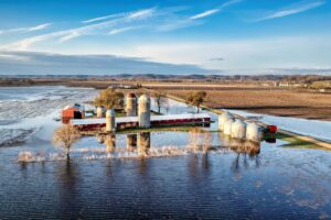 Bodensee Hochwasser: Ursachen und Folgen im Überblick