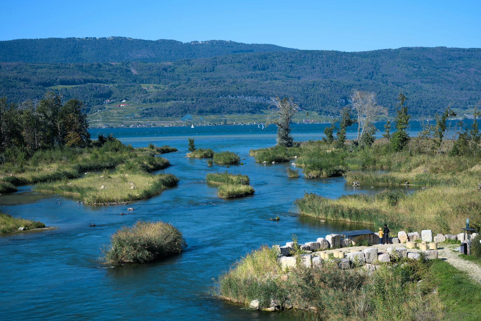 Explore the picturesque Hagneck Canal with lush islets and serene waters in Switzerland.