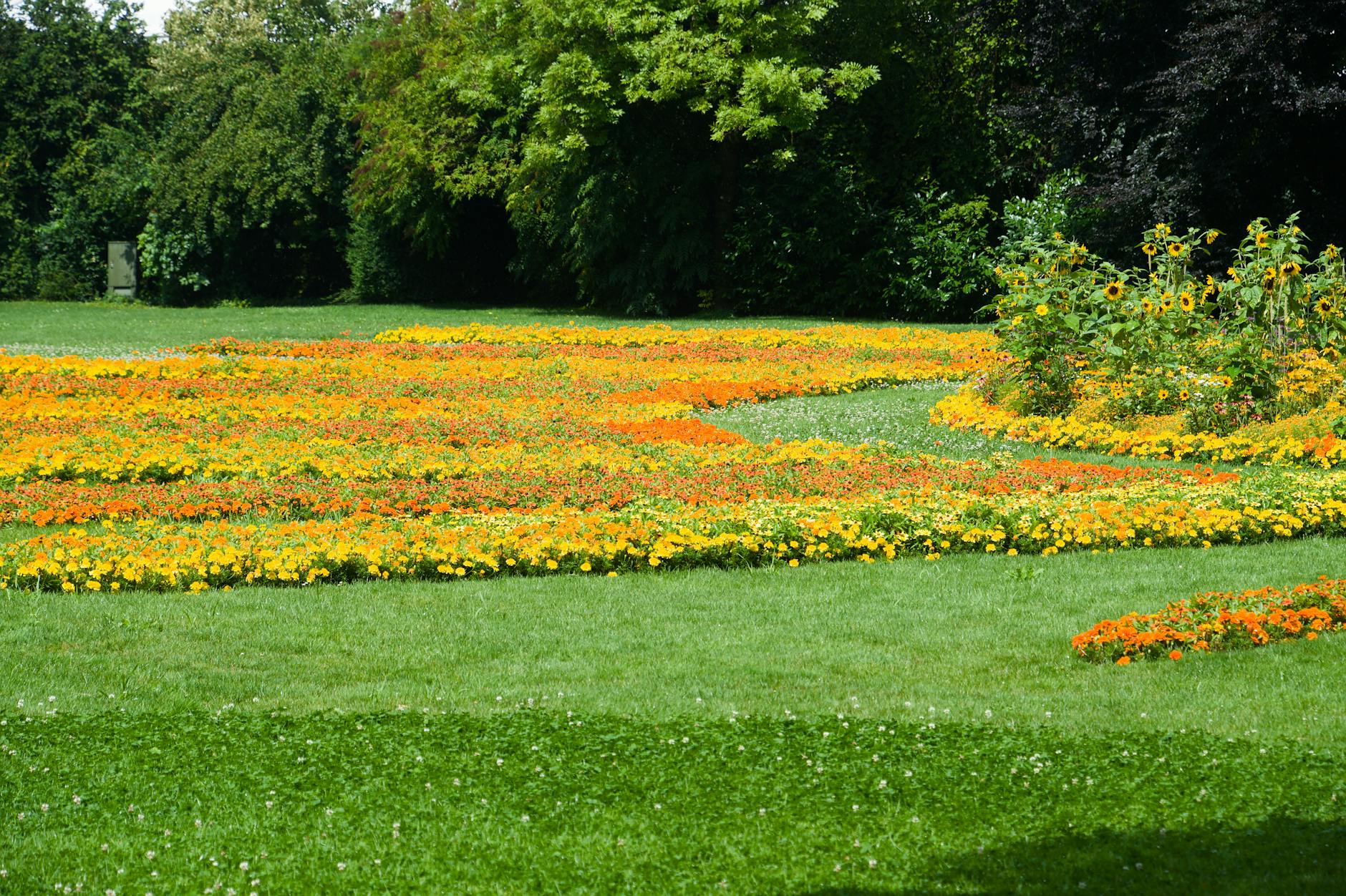 Bright flower beds in sunny outdoor garden showcasing vibrant blooms.