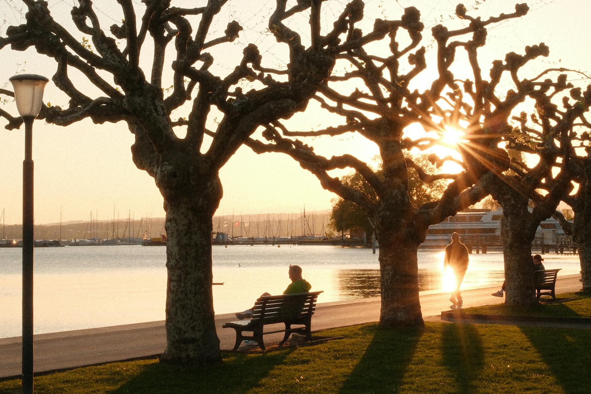 Tranquil scene of people enjoying a sunset walk along Zug's lakeside promenade in Switzerland.