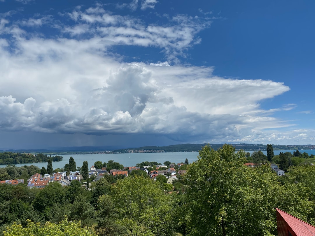 green trees near body of water under white clouds and blue sky during daytime