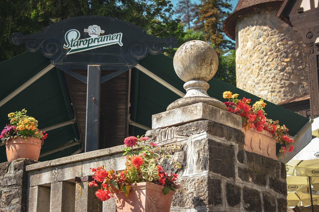 A stone building with flower pots on top of it