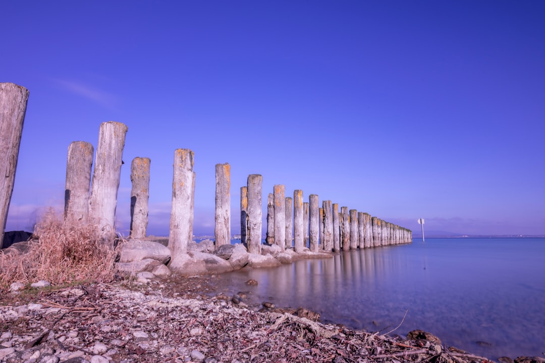 a long row of wooden posts sitting on top of a beach