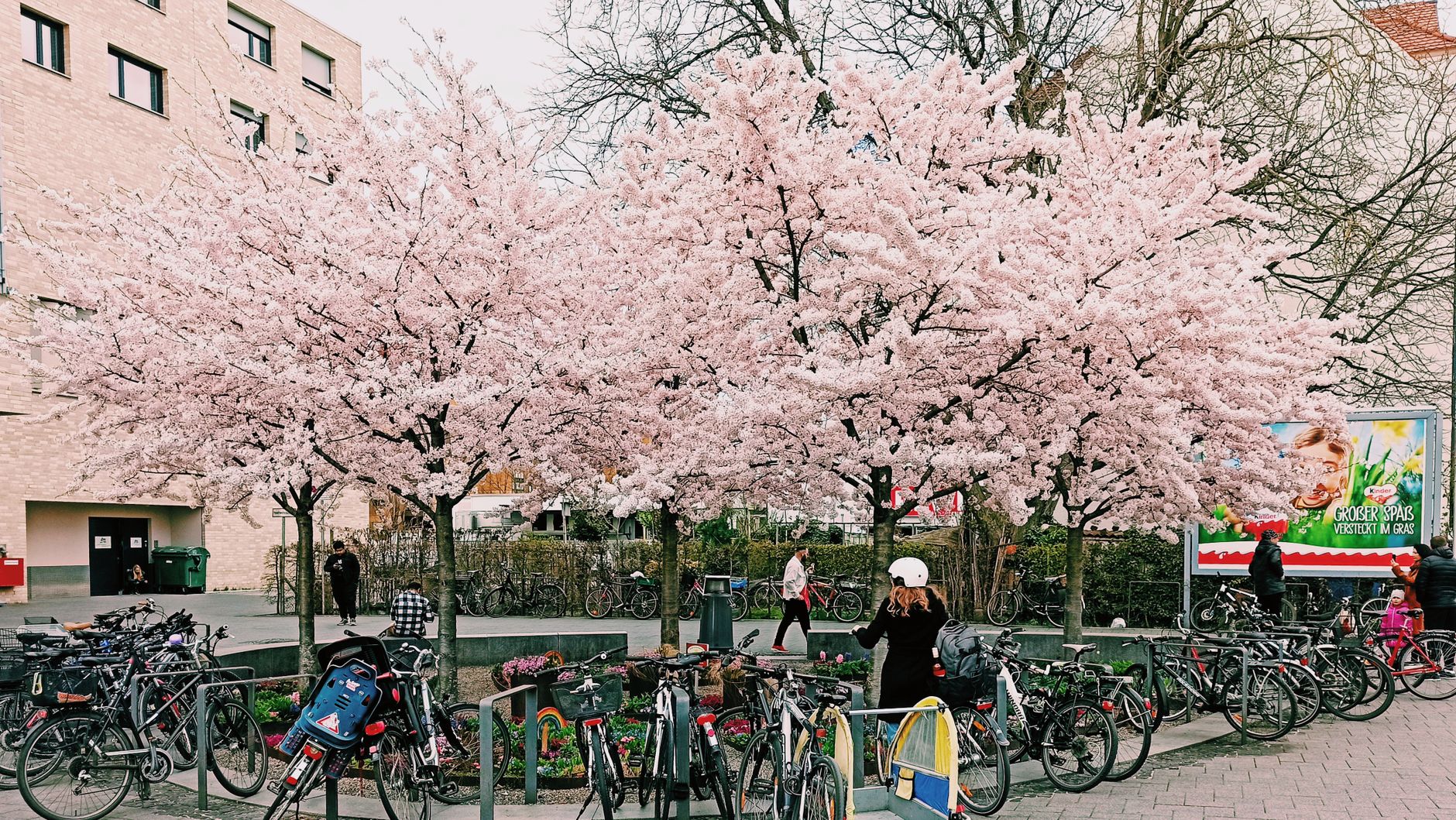5 Gründe, um in Konstanz zu studieren und Geheimtipps