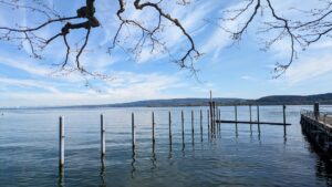 Welche Fische gibt es im Bodensee? Artenvielfalt entdecken