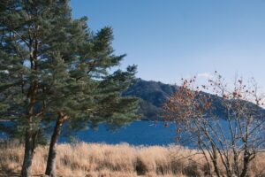 Top 7 atemberaubende Strände am Bodensee