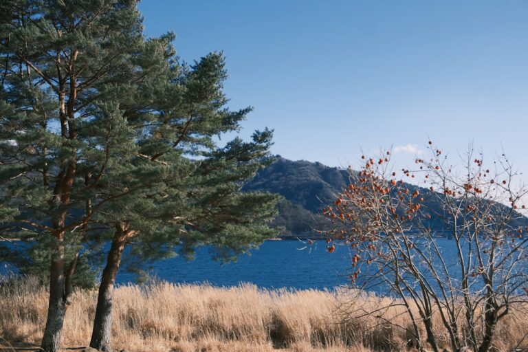 Top 7 atemberaubende Strände am Bodensee