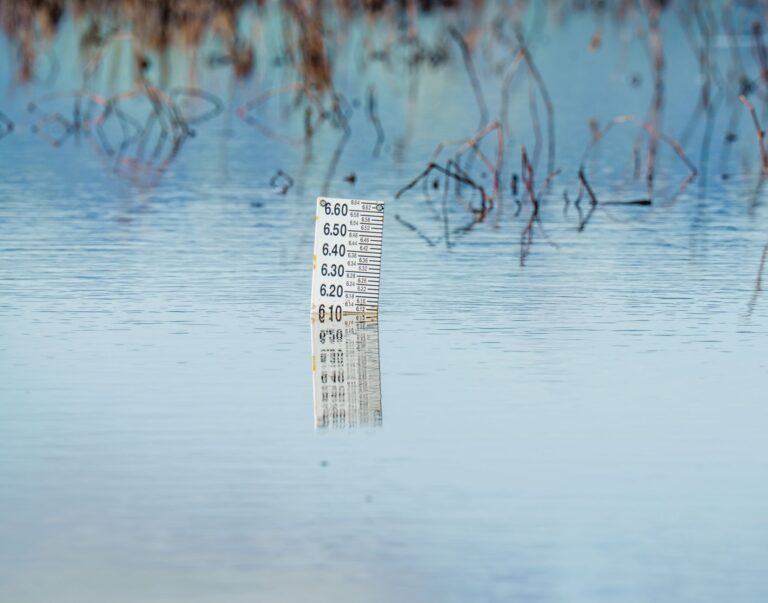 Wasserqualität im Bodensee: Wichtige Informationen