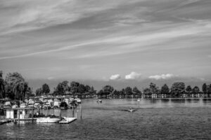 Bodensee Felchen: Der Geschmack des Bodensee-Fischs