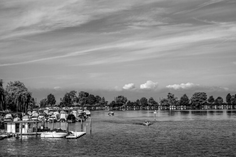 Bodensee Felchen: Der Geschmack des Bodensee-Fischs