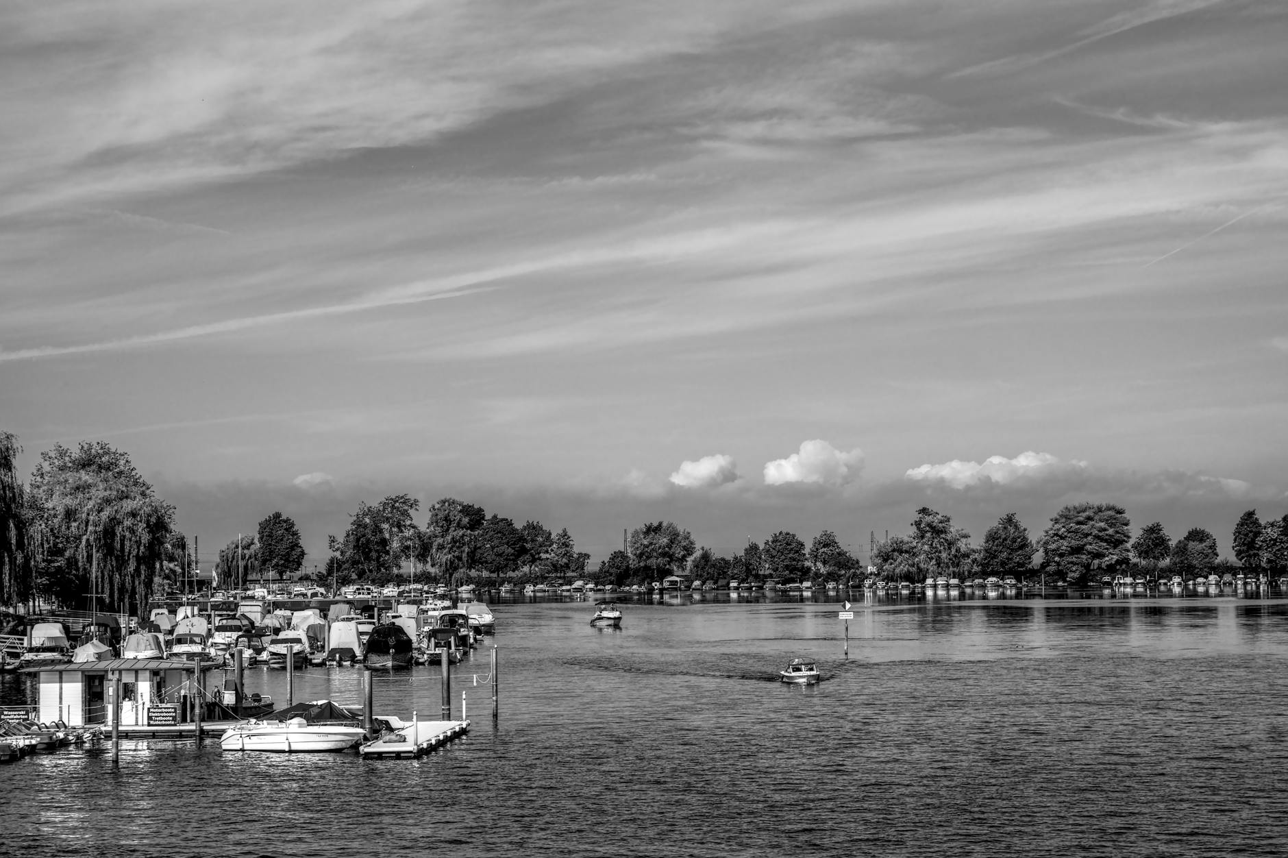Bodensee Felchen: Der Geschmack des Bodensee-Fischs
