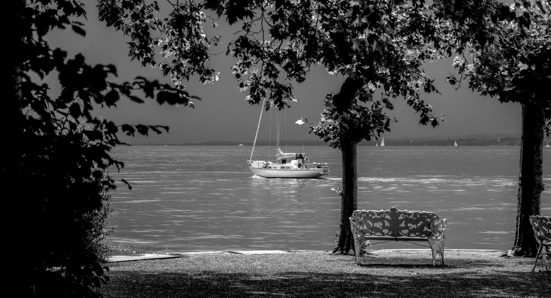 Serene black and white image of a sailboat on Lake Constance framed by trees.