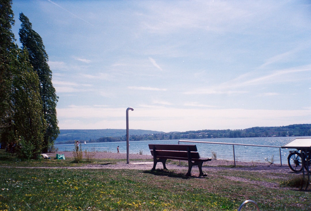 Park bench overlooking a calm lake under a blue sky