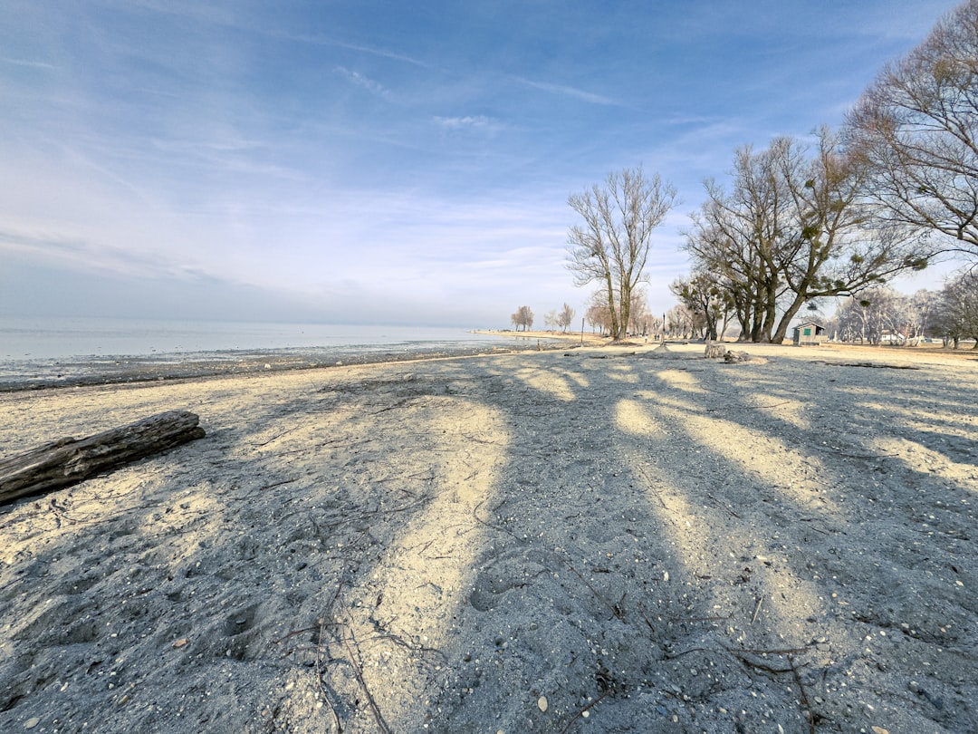 A dirt road with trees and a blue sky in the background