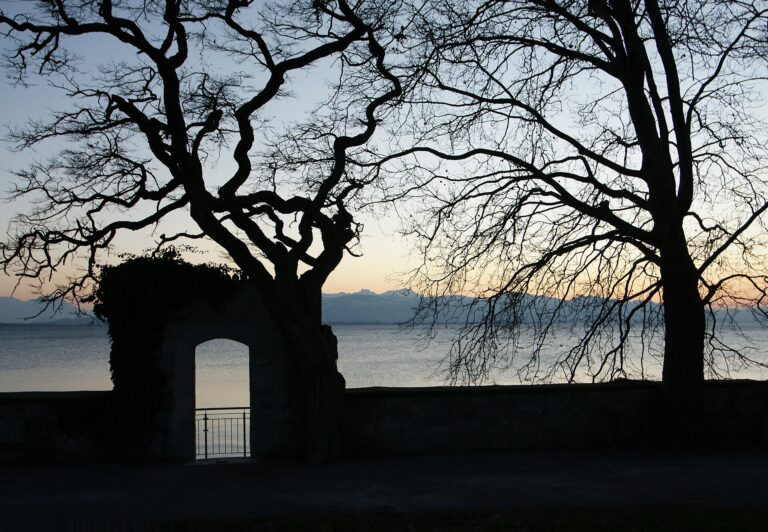 Bodensee Seepromenade, Entspannt flanieren & direkt am Wasser übernachten