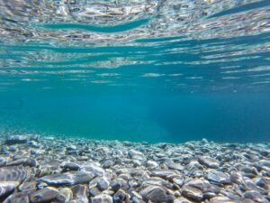 Der Untersee: der stille Westen des Bodensees